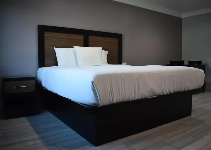 Willow Tree Inn & Suites